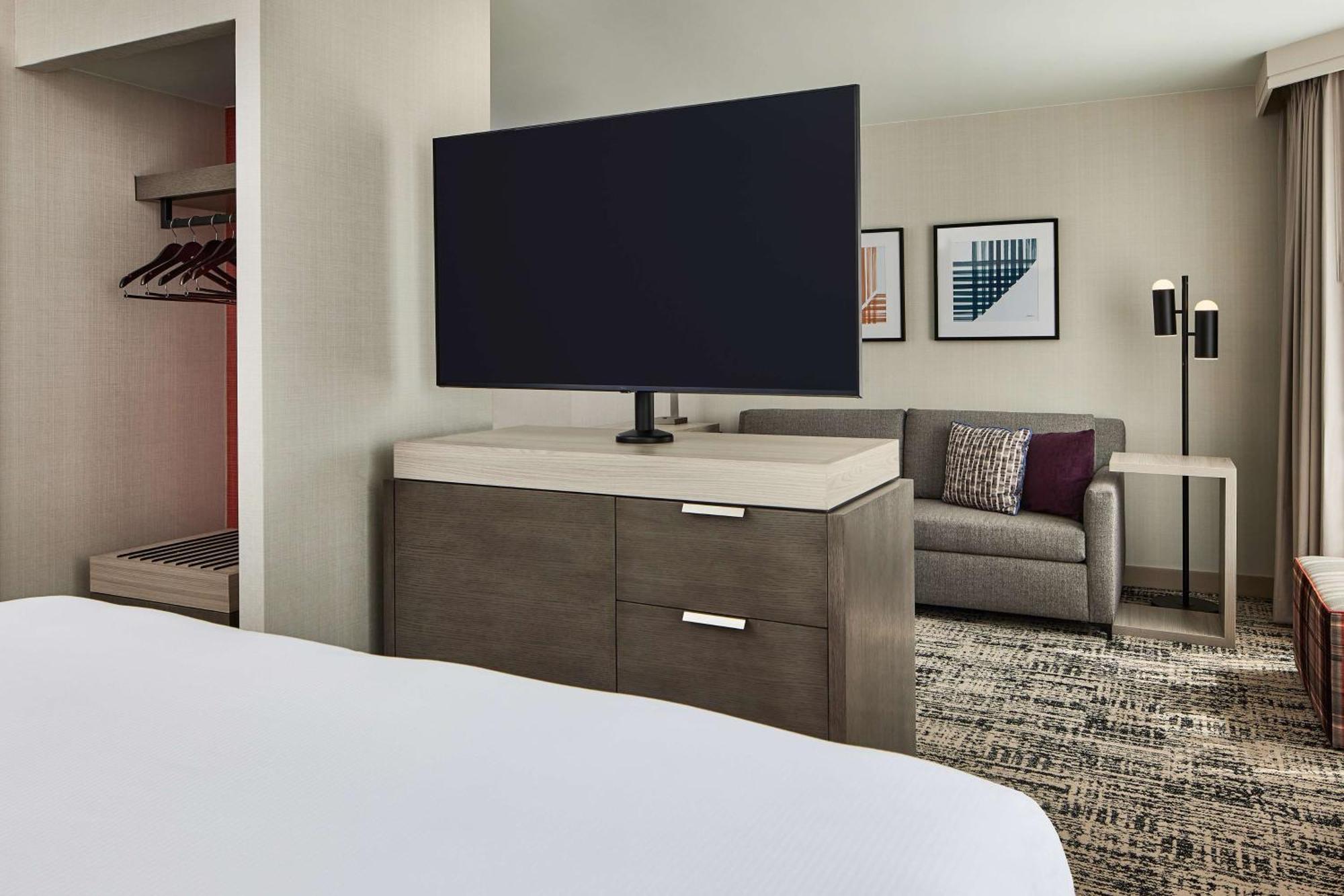 Deluxe King Suite with Plaza View